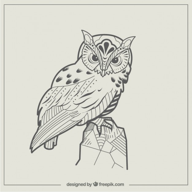 Abstract owl illustration png