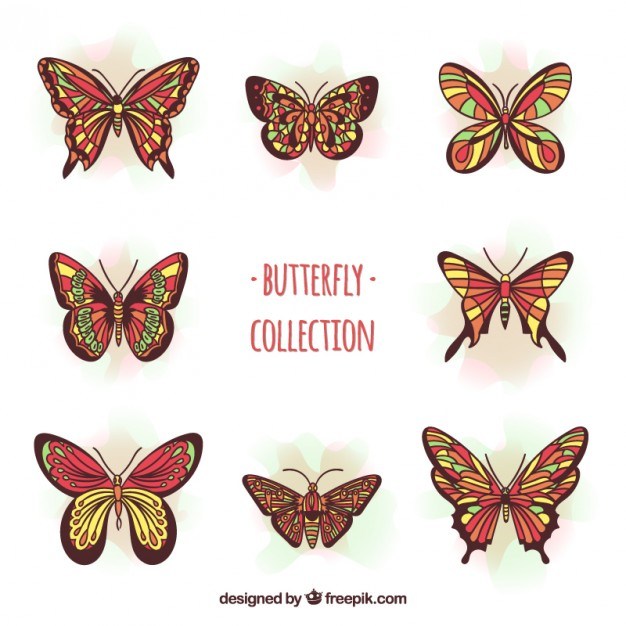 Beautiful butterflies in red tones with yellow details