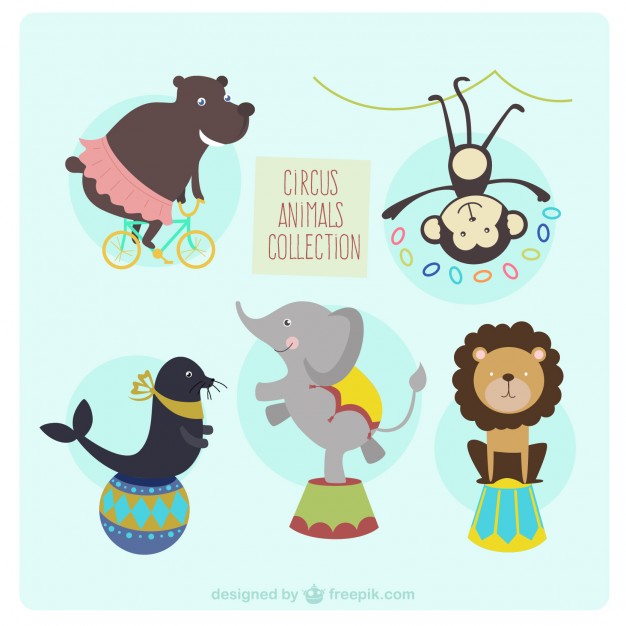 Circus animals collection