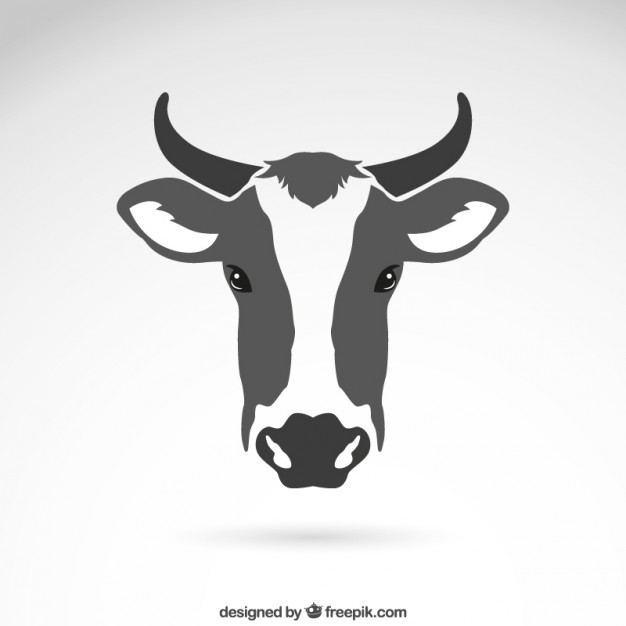 Cow head
