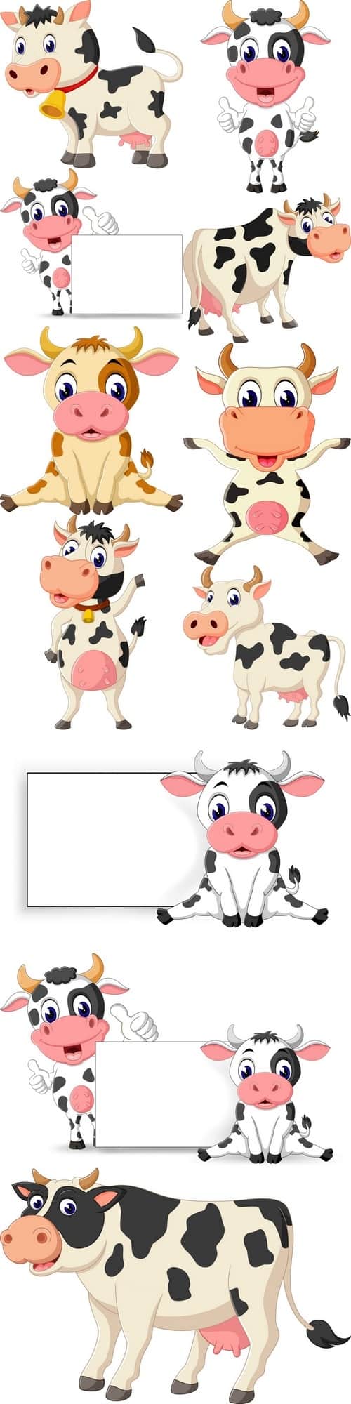 Cute baby cow cartoon