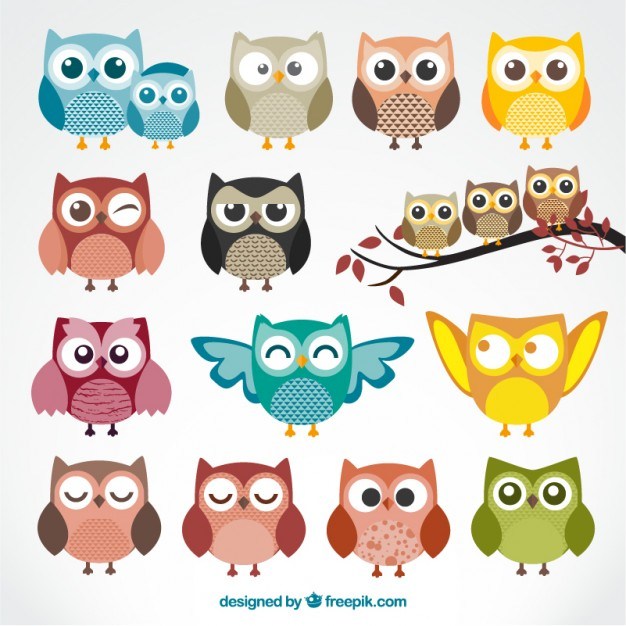 Cute cartoon owls png