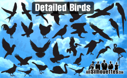 Detailed Vector Birds – All-Silhouettes