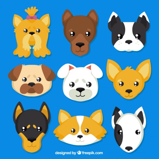 Dogs breeds avatars