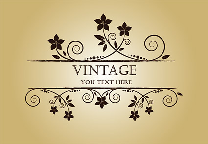 Exquisite decoration Border vector