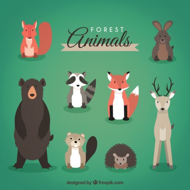 Forest animals head on pack png