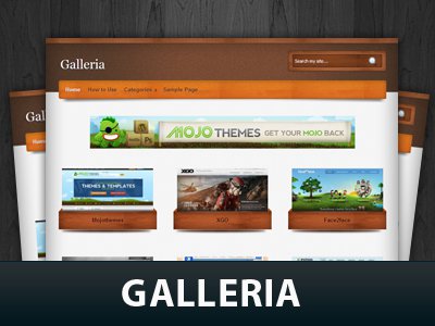 Galleria WordPress Themes