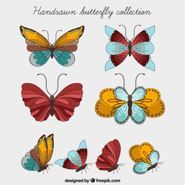 Hand Drawn Butterfly Collection