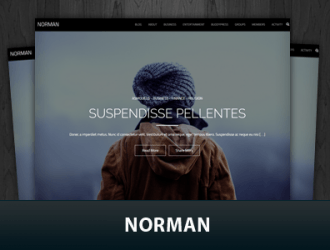 Norman Wordpress Themes png