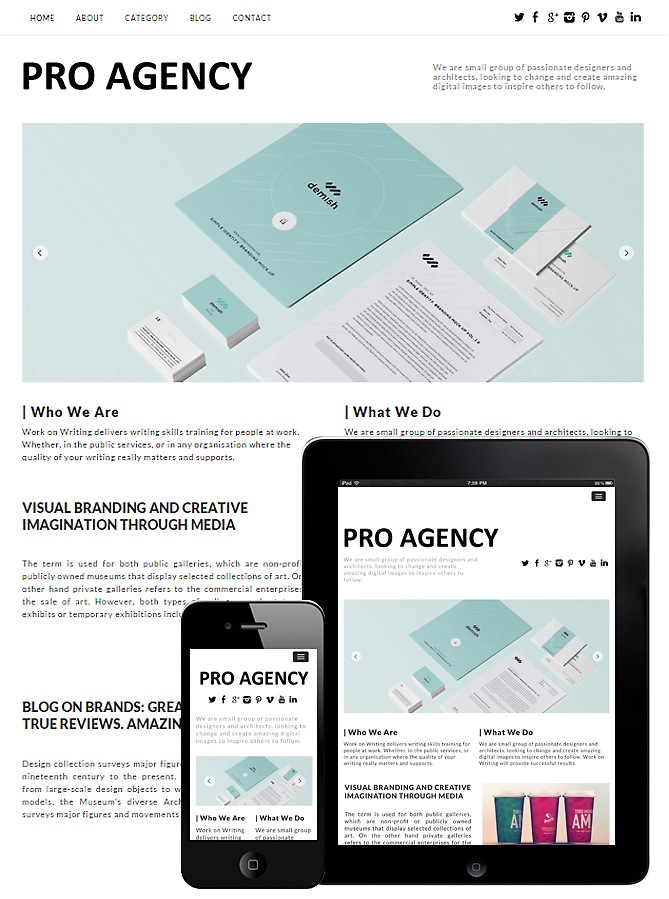 Pro Agency Responsive Theme