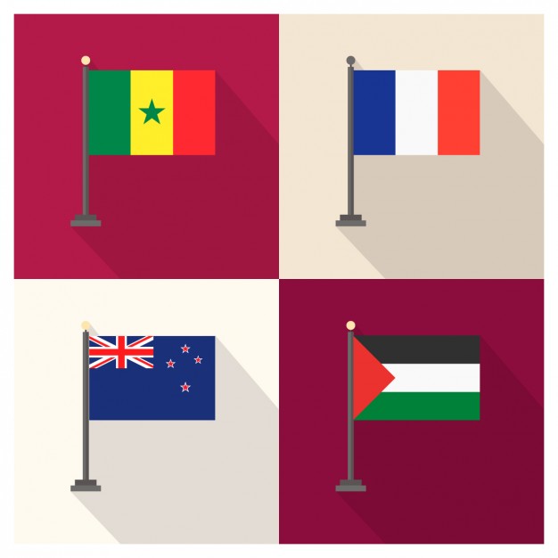 Senegal France New Zealand and Palestina Flag
