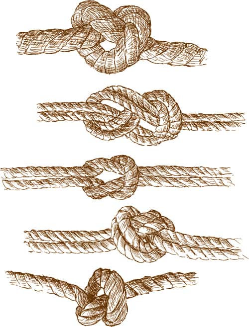 Set of knots borders elements vector 03