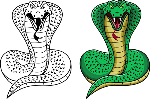Set of Snake New Year design elements vector 01