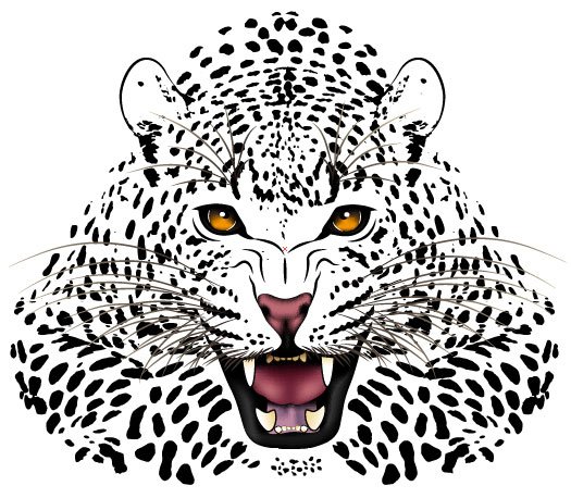 Set of Tiger vector picture art 18