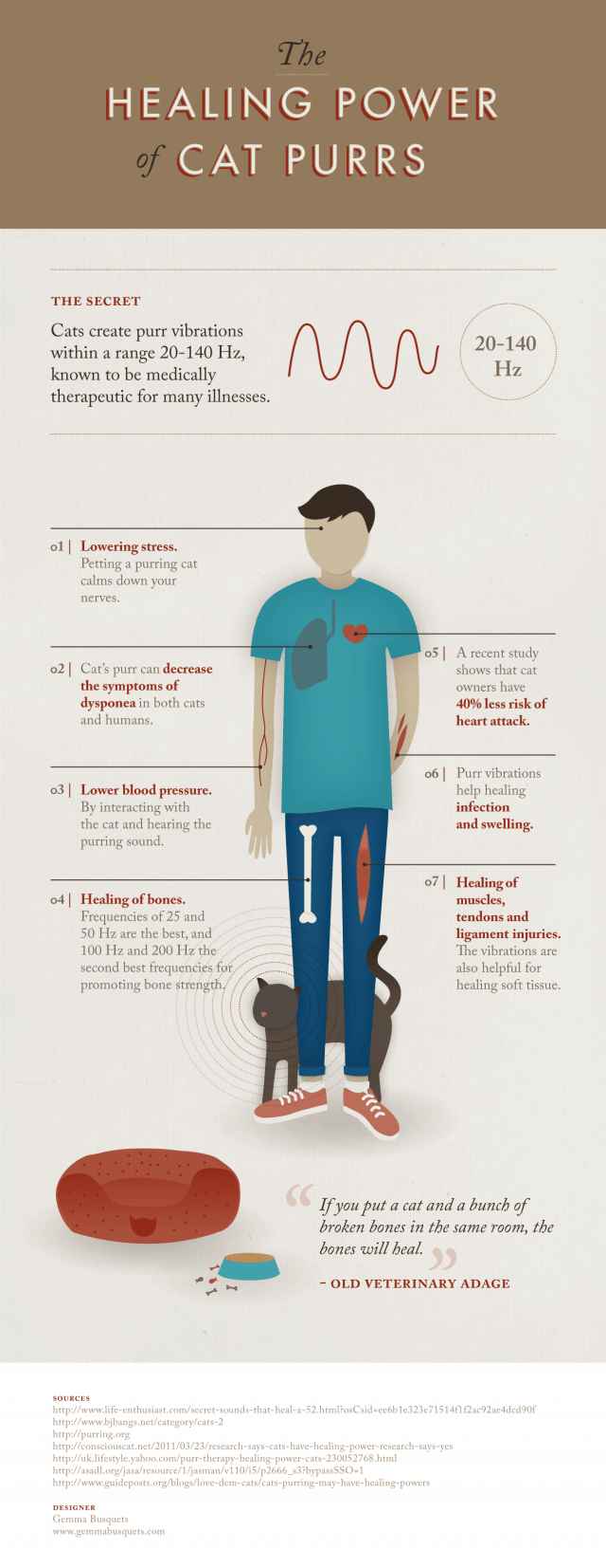The Healing Power of Cat Purrs [Infographic] | Daily Infographic png