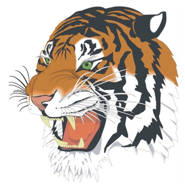 Tiger head vector
