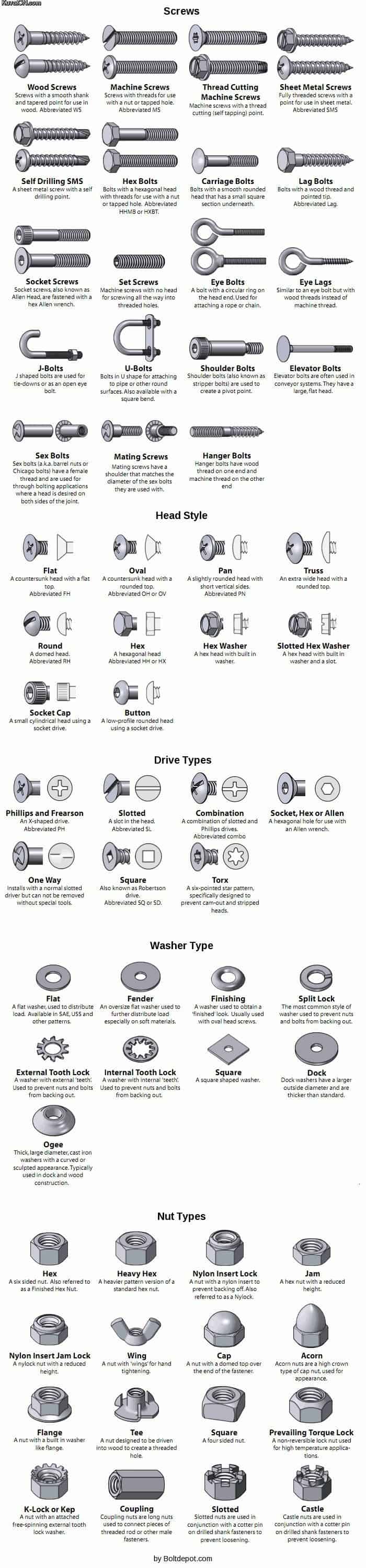 Types of Screws and Bolts [Guide] [Infographic] | Daily Infographic