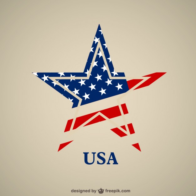 USA flag star vector