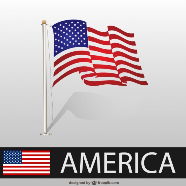 USA flag vector template
