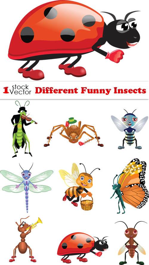Various Funny Insects Vector set
