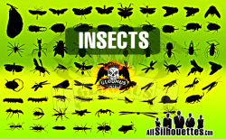 Vector Insects – All-Silhouettes