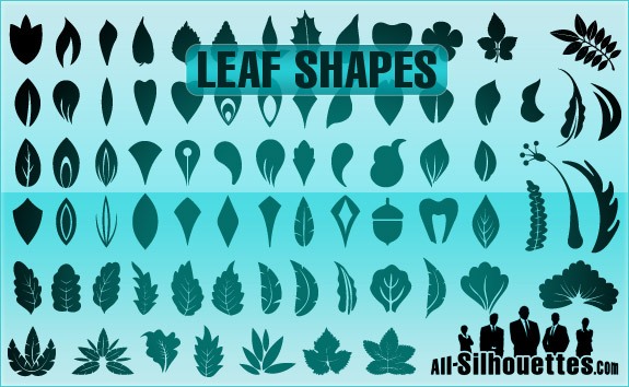 Vector Leaf Shapes – All-Silhouettes