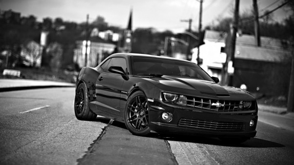 Wallpaper Chevrolet camaro