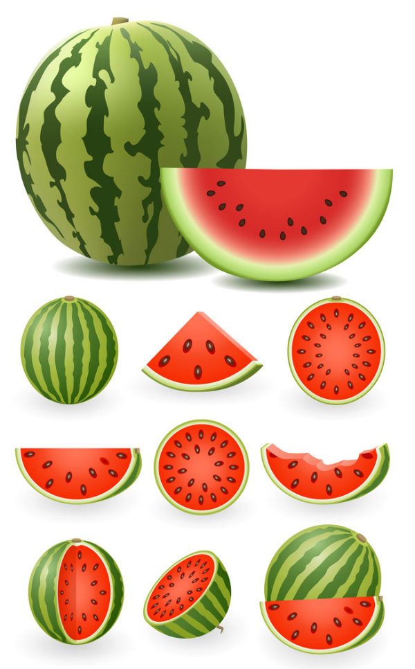 Watermelon Vector material