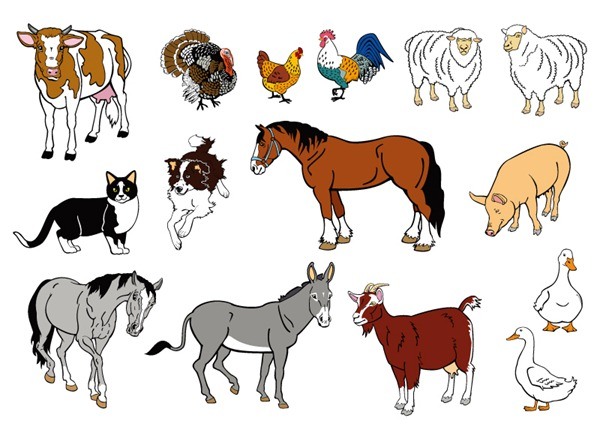 Cartoon farm animals design