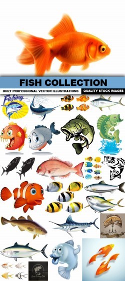 Fish Collection – 25 Vector