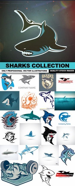 Sharks Collection – 25 Vector