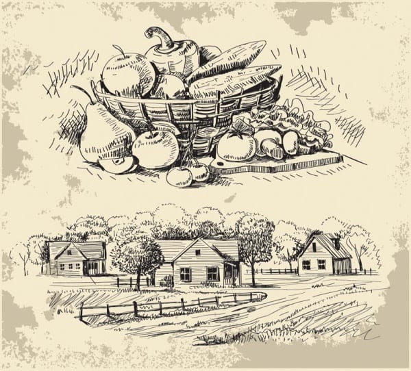 A Practical vegetables and hand-painted scenery 03