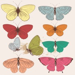 Coloured butterflies collection Vector | Premium Download