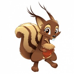 Coloured squirrel design Vector | Free Download