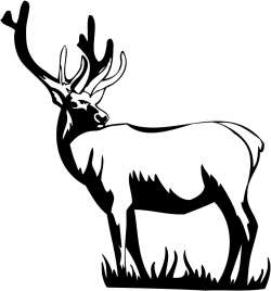 Deer Clipart Black And White – Cliparts.co