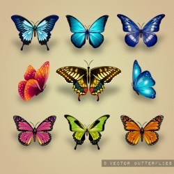 Excellent collection of butterflies Vector | Free Download