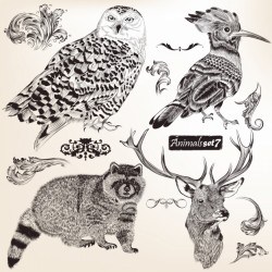 Had drawn animals collection Vector | Premium Download