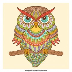 Hand drawn ornamental owl in ethnic style Vector | Free Download