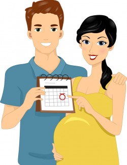 Happy expectant couple vector