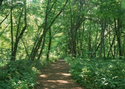 Nature background material picture material