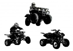 Vector Motocross vector