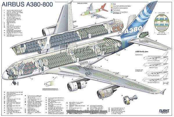 Airbus A380 800 Cutaway Poster   Photo Prints png