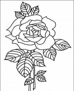Amazing Red Rose Flower Coloring Page | Kids Play Color