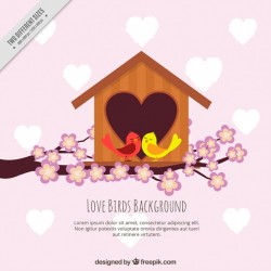 Background of birds with pretty house of heart