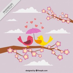 Background of pretty birds in love