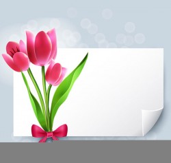 Blank paper vector pictures