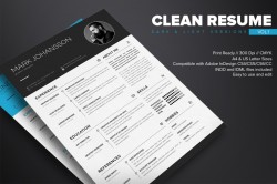 Clean Resume Template (Free)