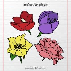 Colored flower sketches