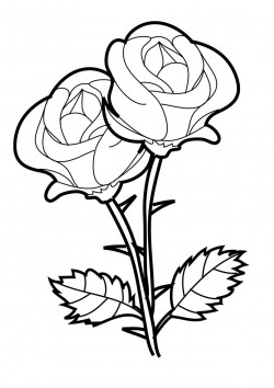 Coloring Pages Of Roses For Adults