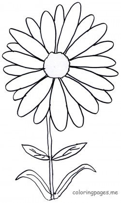 Daisy Scout Flower Coloring Pages